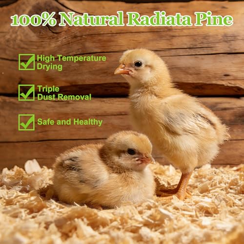10LB Premium 100% Natural Radiata Pine Shavings for Chicken Coop Bedding,Wood Pine Shavings,Super Absorbent,Low Dust,Eliminating Bad Smells for Chicken Coops Nesting Boxes Brooder