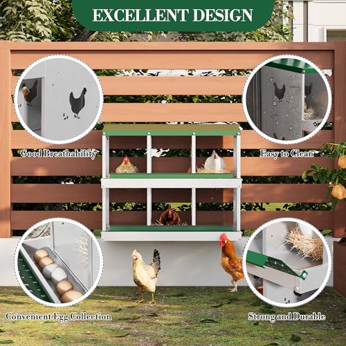 Nesting Boxes for Chickens, 6/8/10-Hole Galvanized Steel Chicken Nesting Boxes for Laying Eggs with Egg Rollaway System to Protect Eggs, Easy Egg Collection, for Chicken Coop Backyard Farm