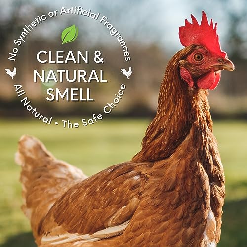 Chick Fresh Odor Eliminator for Backyard Chickens. Makes 1 Gallon of Solution Eliminates Coop, Brooder Odor, Etc. Concentrate w/ 128 oz Empty Sprayer (5 gallons) - size: 5 gallons