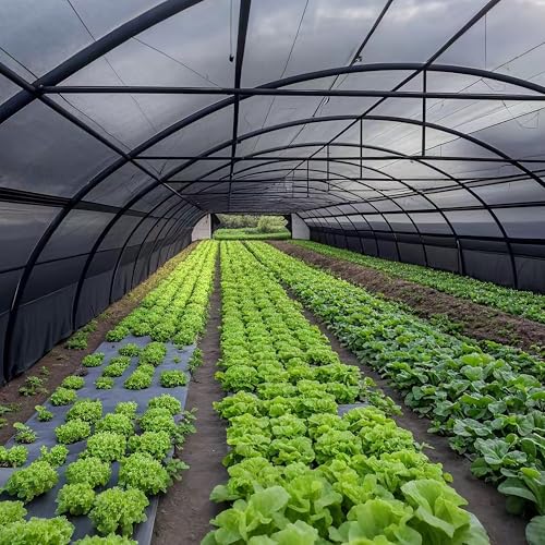 winemana Black Shade Cloth 70%, 30x50 FT Mesh Tarp - Garden Shade for Greenhouse, Patio, Vegetables, Plants Cover and Chicken Coops, Sunshade Net for Outdoor Protection with Reinforced Grommets - size: 70%-30 FT x 50 FT