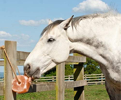 UMAID Himalayan Salt Lick 6 lbs on Rope for Horse, Deer, Goat & Livestock Animals, Salt Lick Deer, Salt Lick for Horses, Salt Block for Horses, Himalayan Salt Block 2 Pack - size: 6 Pound (Pack of 2)