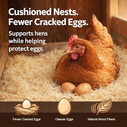 Nest Box Queen, Excelsior Nest Box Pads for Hens - 13 Inch x 13 Inch (40 Pack)