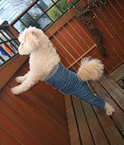 Original Dog Pants, E-Collar Alternative, Dog Pajamas, Dog Diaper X-Small Dog, Blue - color: Blue, size: X-Small