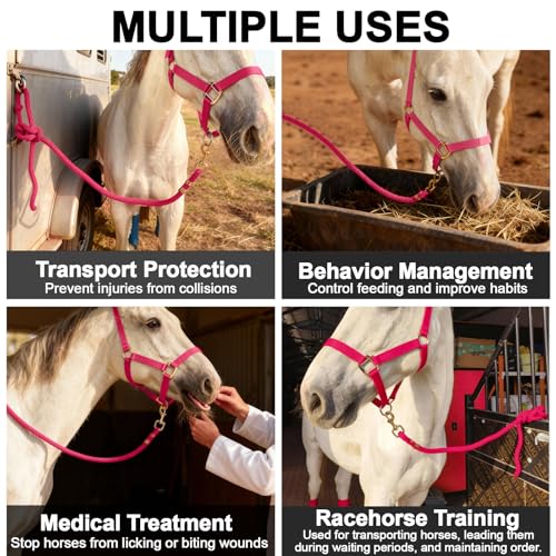 5/8" x 8' Nylon Horse Lead Rope (Peach Pink) | Durable nylon material, cast iron hardware, ideal for daily use, training and showing. - color: Peach Pink