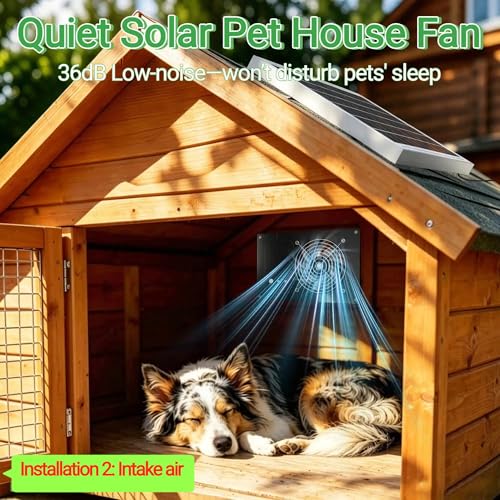Chicken Feeder Port 6 Pack Pink, Solar Fan for Chicken Coop with Battery & Timer
