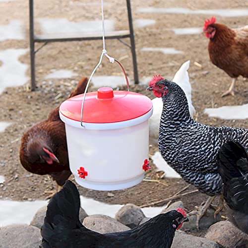 Farm Innovators HB-60P Thermostatically Controlled Heated 2 Gallon Plastic Outdoor Year Round Poultry Chicken Water Bucket Drinker, White/Red | Thermostatically controlled to keep water from freezing, side mounted drip-free/freeze-free nipples for up to 1