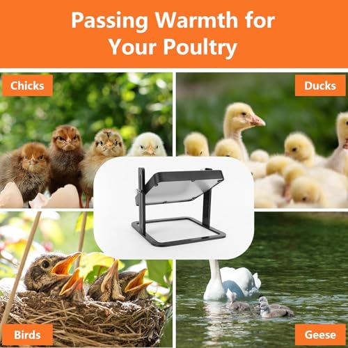 Brooder Plate for Chicks, 10"X10" Chick Brooder Heater Plate with Adjustable Temp, Height & Angle, Brooder Heating Plate for 15 Chicks, Ducklings, Goslings, Quails and Other Small Poultry