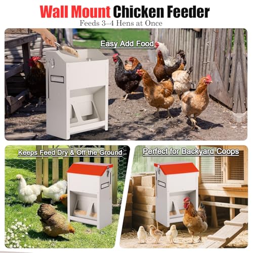 Small Chicken Feeder Gravity Feed Chicken Food Dispenser No Waste | Prevent Waste, Holds 10 Pounds of Feed, 3-4 Hens Can Eat At One Time, For Home Backyard Coop Wall Mount, Space-Saving