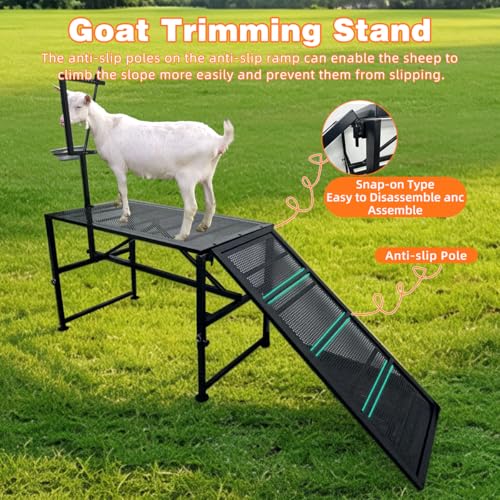 Adjustable Metal Goat Milking Stand，600LBS with Ramp & Feed Bin | Heavy duty livestock organizer suitable for goats, sheep and lambs for daily milking, grooming and hoof trimming on farms.