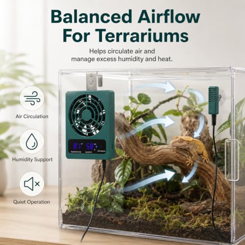 Reptile Ventilation Fan, Auto Temperature/Thermometer Control LED Digital Humidity Gauge, °C/°F Switchable Dehumidifier for Reptile Tank, Rainforest, Ecological Pet Rearing Box - size: Dual Function