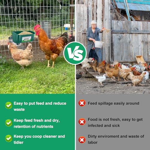 Chicken Feeder Waterer, 6 Pack Duck Feeder Supplies, Hanging Fence Feed Trough with Clips for Goat, Sheeple, Piglet, Gooses, Turkeys, Dog Livestock Poultry,Green - color: 6 pack Green