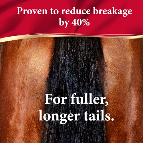 Absorbine ShowSheen Hair Polish & Detangler, 128 fl oz Refill Gallon | Mane & Tail, Pro-Vitamins, Silk Proteins, Lustrous Shine, Reduces Hair Breakage, Promotes Longer Healthy Hair, Horses & Dogs - size: 128 fl oz Refill