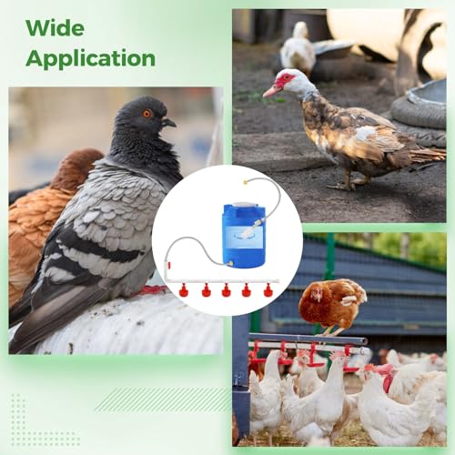 Pipeline Automatic Chicken Waterer System (45 Accessories Included) | Complete PVC Pipelines Set with 8 Deep Drinking Cups, T Connectors, Float Valve, Auto Pipe Feeder Poultry Watering Kit