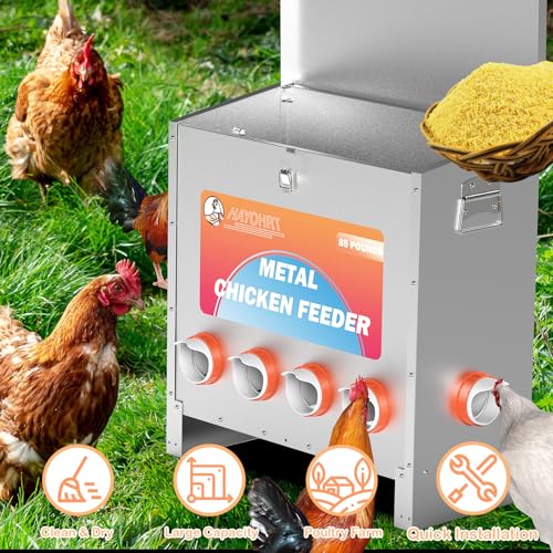 HAYOHRT 85 Pounds Automatic Chicken Feeder 6 Ports Large Gravity Fed Chicken Feeder with Latch & Handle for Chickens Bantams Pheasants Poultry Coop Weatherproof - size: 6 Ports - 85-120 lBS