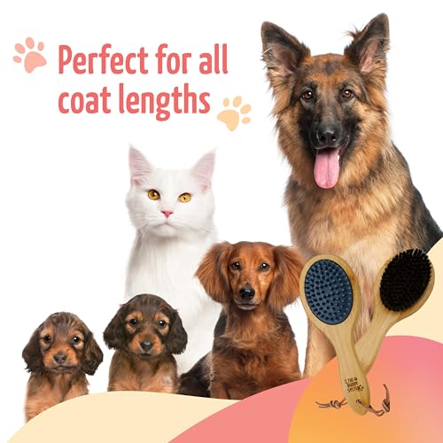 The Buddy System - Combo Bristle Pet Brush, 2-in-1 Brush | Dog & Cat grooming brush with 2 sides for dual capabilities.Durable rubber to losen hair and boar bristle to increase shine.