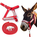 1 Set Mini Donkey Halter with Lead Rope Adjust, Red | Nylon Head Collar, Cute and Stylish, for Miniature Donkey and Small Equines, Farm Ranch Pasture Outdoor, Gingham Plaid Trim - color: Red