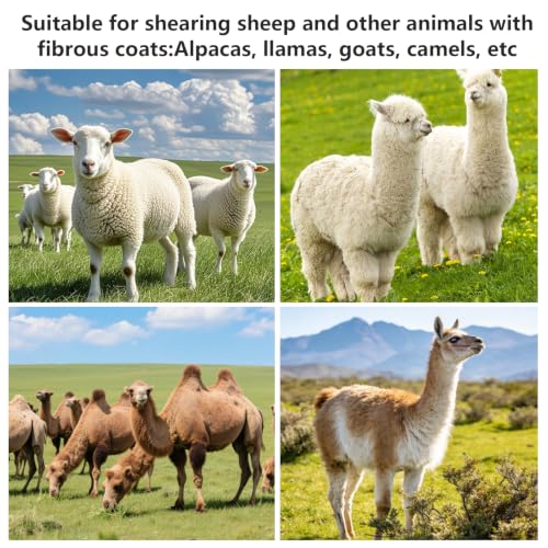 2Pcs Shearing Cutting Blade, 13 Tooth Sheep Shear Part, Stainless Steel Sheep Clipper Blade, Versatile Shearing Replacement Blades for Grooming Thick Coat Animals