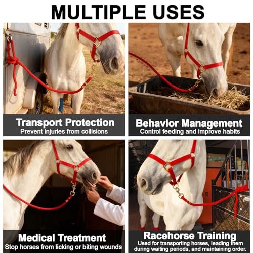 5/8" x 8' Nylon Horse Lead Rope with Cast Iron Hardware(Red) | Durable nylon material, cast iron hardware, ideal for daily use, training and showing. - color: Red