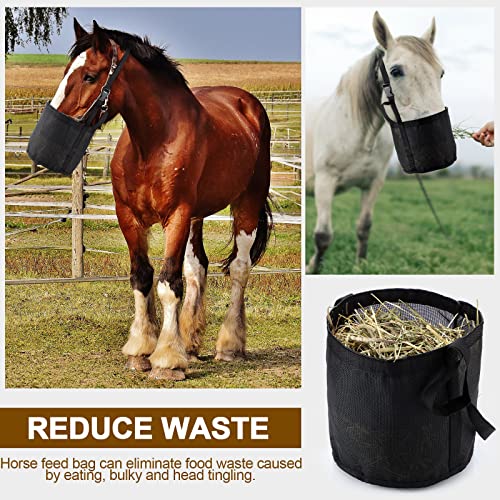 2 Pcs Horse Feed Bag, Heavy Duty Mesh Feeder with Adjustable Strap, Black | Hay Bag, Grazing Muzzle, Slow Feeder, Trail Riding, Stall Use, Equine, Waterproof Bottom, Breathable Mesh, Padded Neck - color: Black
