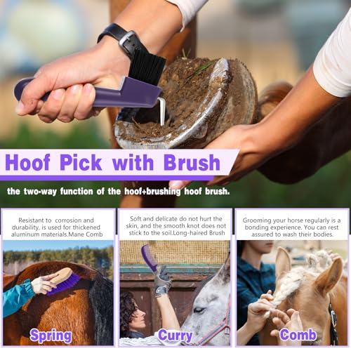 Abbylike 12 Pieces Horse Grooming Kit Racing Festival Tack Room Supplies Horse Brush Sets Equine Care Cleaning Kit Shedding Grooming Massaging Tools(Gray and Purple) - color: Gray and Purple