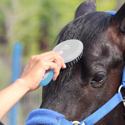 Harrison Howard Horse Mane and Tail Brush - Professional Grooming Brush, Equestrian Detangler, Non-Slip, Light Blue - color: Light Blue