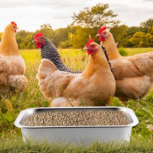2 Pack Heavy Duty Metal Chicken Feeder Trough Water Feeder Large Capacity Feed Trough Bucket for Chicken Duck Pig Deer Livestock Pet Poultry