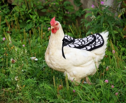 3 Pack Chicken Saddles for Hens, Chicken Saddles with Adjustable Elastic Shoulder Straps Chick Apron Back Protector for Small, Medium and Large Hen, Hens Care Accessories