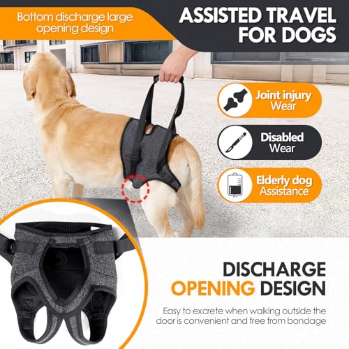 Dog Lift Harness |Harness for Large Dogs, Adjustable Hind Leg Support Sling for Elderly Injured Arthritic Disabled Dogs, Mobility & Rehabilitation Aid(S) - size: S