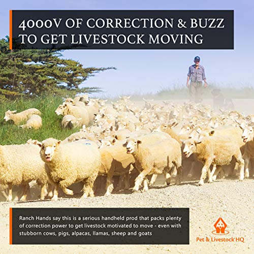 Cattle Prod Handheld - Electric Cattle Prod Livestock - Mini Hand Held Prodder for Sorting Cows Pigs, Goat, Sheep - 4000V Shock & Buzz