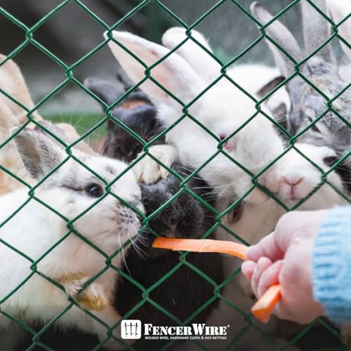 Fencer Wire 9 Gauge Durable Green Vinyl Coated Chain Link Fence Kit, Complete Fencing DIY Set w/Fence Fabric, Gate, Posts, Top Rails & Hardware for Yard, Garden & Animal Enclosures (4ft. x 54ft.) - color: Green, size: 54 FT