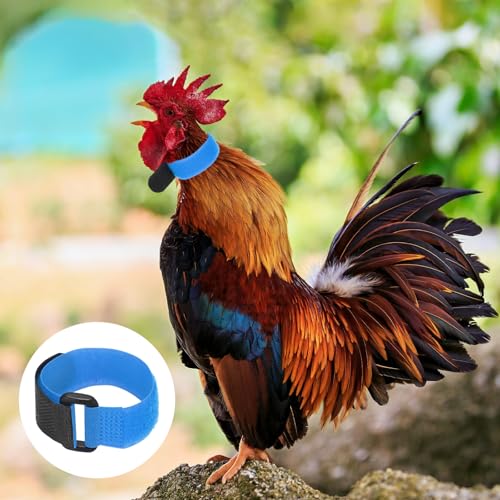 M METERXITY 10-Pack Rooster Collars, 8.07" x 0.79" Adjustable Soft Polyester Anti-Noise Neck Belt for Chickens and Poultry Birds, Noise Control Collar [Blue/Green] - color: Blue/Green