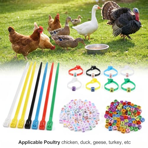 100 PCS Colorful Numbered Chickens Identification Leg-Rings, Adjustable Chicken Leg Bands with 200 PCS Charms Accessories, Chick Tags, Poultry Identification Leg Bands for Chicken, Duck, Goose (14cm)