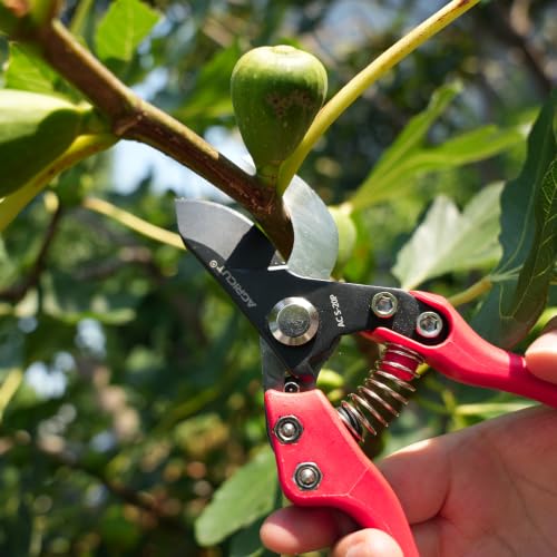 AGRICUT 7" Pruning Shears Heavy Duty Professional, Made of Japanese SK5 Steel Blades, 1 Cut Capacity, Bypass Hand Pruners Garden Clippers for Tree Flower Branch Trimming, S20P - style: Nylon Handle, High Carbon Steel PRO