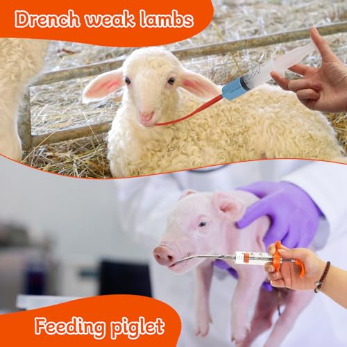 14PCS Lamb and Goat Kid Feeding Tube Kit Included 2 500ml Lamb Feeding Bottles 5 Milk Nipples 2 60ml Syringe with 2 16fr Red Feeding Tube Kit,1 20ML Reusable Goat Syringe with 2 Drench Nozzle (25)