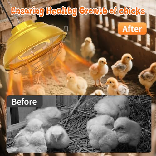 Chicken Coop Heater, 600W, Carbon Fiber Bulb, Adjustable 2-Mode | Heat Lamp for Chickens Brooder, Adjustable Hanging Height, For Chick, Puppy, Cat, Goat, Piglet