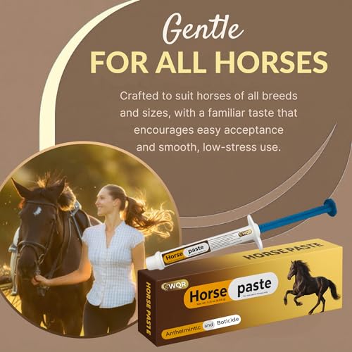 Horse Paste – Oral Syringes – 6.08g Tubes – Adjustable Weight Markings – For Horses Up to 1,250 lbs (Pack of 2)