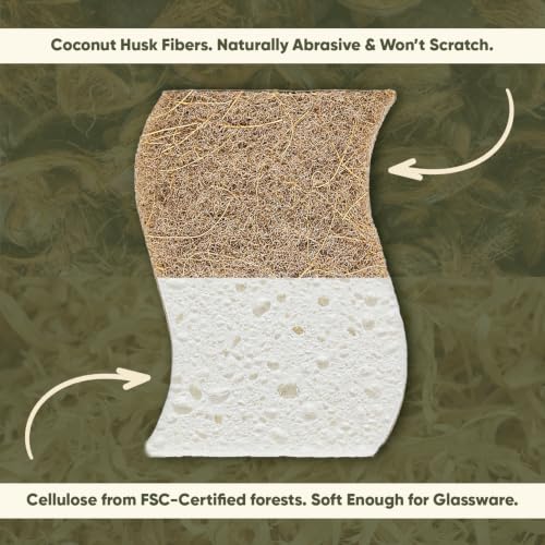 Plant-Based Kitchen Sponges (12 Pack) | USDA Biobased Certified | FSC & PETA Approved | Natural Cellulose & Coconut Scrubber Sponge | S-Shaped Design | Eco-Friendly, Non-Scratch, Non-Toxic & Vegan - size: 12 Pack