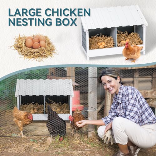 PETSFIT 2 Holes Chicken Nesting Box, PVC Waterproof Roof, Privacy Cover | Wall Mounted or Floor Use, Natural Fir Wood, Easy to Assemble and Clean, For Backyard Coops and Farms, Fits Standard Hens - size: 2 Holes