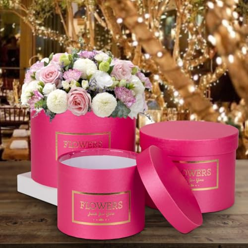 Hot Pink Gift Box Round Gift Boxes with Lids Plastic Liner Set of 3 Nesting Gift Boxes for Presents Assorted Sizes Flower Boxes for Arrangements Birthday Wedding Bridesmaid Graduation Party Gift Bags - color: Hot Pink