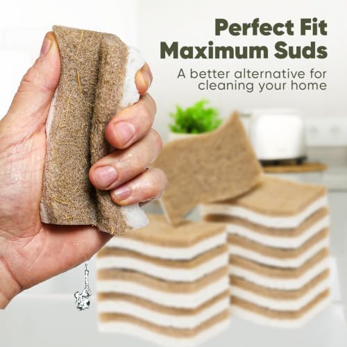 Plant-Based Kitchen Sponges (12 Pack) | USDA Biobased Certified | FSC & PETA Approved | Natural Cellulose & Coconut Scrubber Sponge | S-Shaped Design | Eco-Friendly, Non-Scratch, Non-Toxic & Vegan - size: 12 Pack