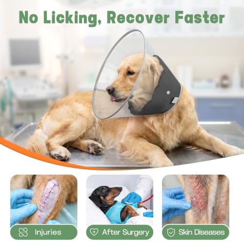 Dog Cone Collar to Stop Licking with Soft Detachable Liner, Comfortable Elizabeth Recovery Collar for Large Medium Dogs After Surgery, Pet Neck Head Cone Alternative, XXL, Black - color: Black, size: XXL