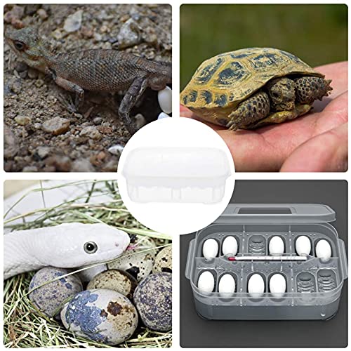 Still Awake Reptile Egg Incubator Professional Hatcher Hatching Box Case Tray Plastic Breeding Incubator for Hatching Snake,Lizards, Reptiles,Gecko(12 Slots with Thermometer) - size: 12 Slots With Thermometer