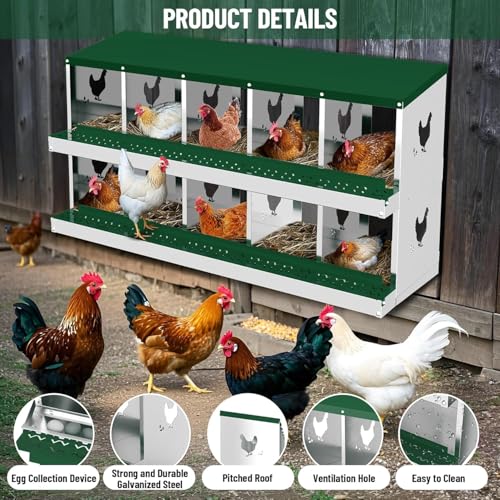 Chicken Nesting Box, 10-Hole Nesting Boxes, Removable Tray, Ventilation Holes, Easy Egg Collection & Cleaning, Laying Boxes for Hens, Green - color: Green, size: 53.5"L x 16.9"W x 26.6"H