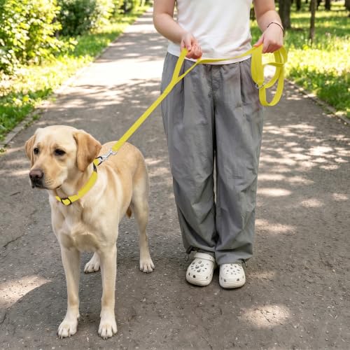 Waterproof Dog Leash with Double Handle, 6 FT Durable Odor-Proof Dog Leashes with Strong Aviation Aluminum Hooks Fits Small Medium or Large Dogs - color: Yellow, size: 6FT - Double Handle