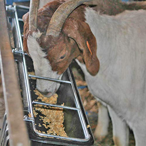 Little Giant HF9BLACK Hook Over Goat Trough Heavy Duty Galvanized Steel Body 9 Quart Feeder with Universal Mounting, Black (4 Pack)