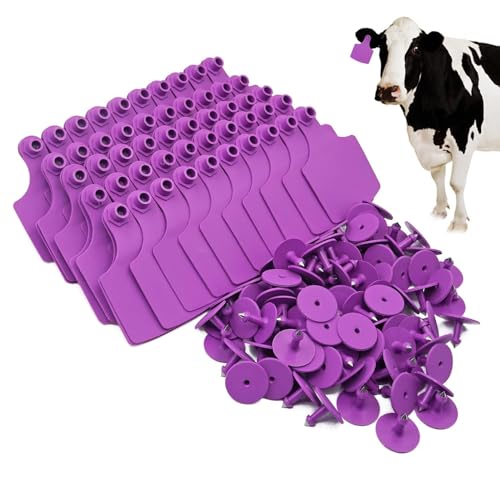 4.1" L×3.5" W Cattle Ear Tags Big Blank 100PCS Livestock Identification TPU | Cow Ear Tags for Cattle Laser Tags for Cows Pigs Hog Goats Sheep Calf Animal Goat Sheep Earring Tags Non-fading (Purple) - color: 1-purple
