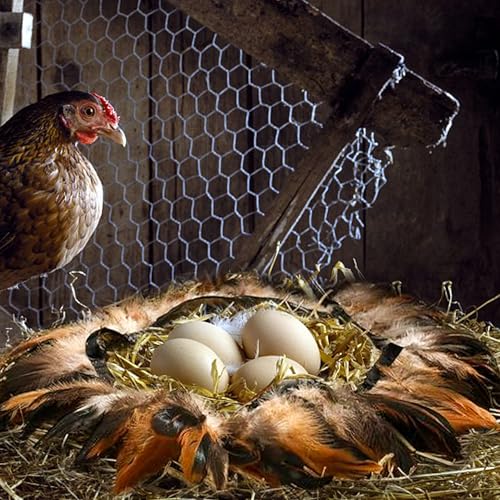 Feathers for Chick Brooder Heating Plate Comfort Feathers for Chick Warmer Chicken Coop Brooder Plate Warm Like Mother Hen (10" x 10", 4 Pack) - size: 10" x 10", 4 Pack