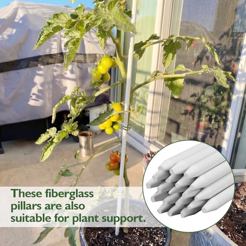 20 Pcs Fiberglass Fence Posts 3/8" x 60" White Fiberglass Rods Garden Stakes Fencing for Plants Tree Stakes DIY Projects Crafts Livestock Containment Temporary Electric Fence - size: 3/8" X 60"