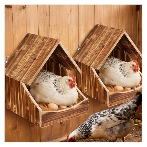 Chicken Nesting Boxes, 2 Pack Wall-Mounted Wooden Nesting Box, Specialized for Chicken Coops, Features a Cozy & Private Laying Space, Suitable for Chickens, Ducks and Other Poultry - color: 2 Pack