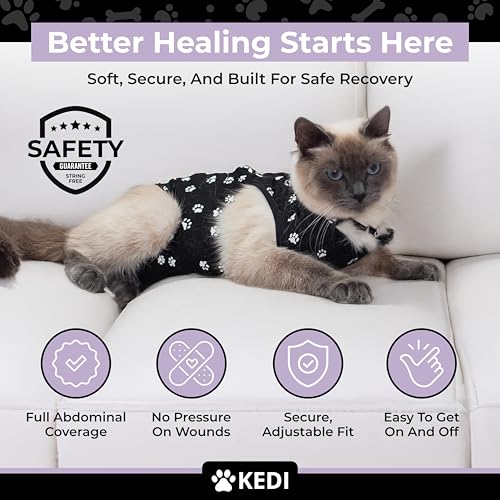 Cat Surgery Recovery Suit Female Cat Onesie for Cats After Surgery Spay Surgical Abdominal Wound Skin Diseases E-Collar Alternative Wear (Black, Medium) (Pack of 2) - color: Black, size: Medium (Pack of 2)